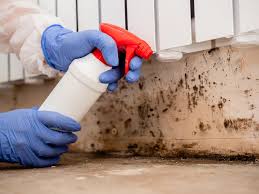 Best Air Quality Testing for Mold Spores  in Mineral Springs, AR